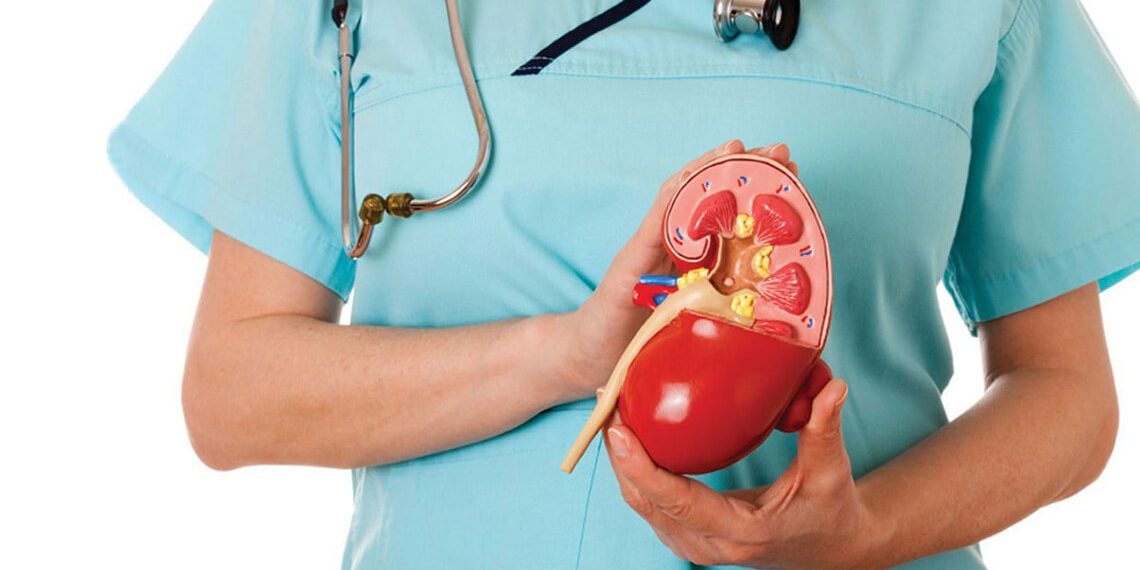 blog-healthy-nephron